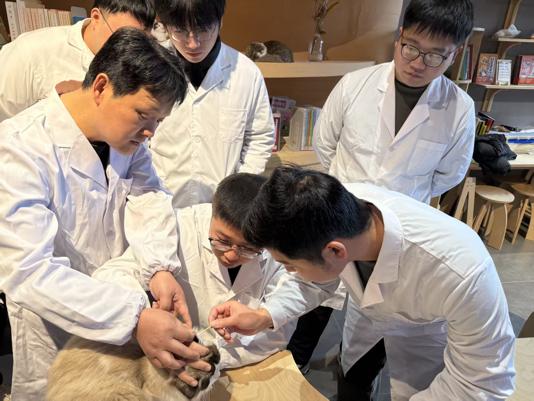 ������������� רҵ����ů���顪����ϵ����ɽè�忪չ�������Ʒ���