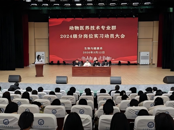 ����ҽ������רҵȺ�ٿ�2024���ָ�λʵϰ��Ա���